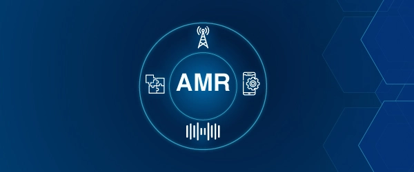 Voice Audio Video Codecs